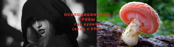 дмт Беломорск