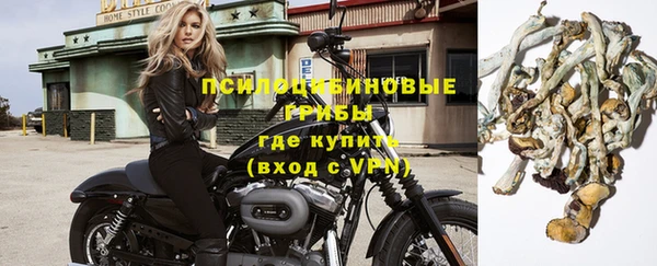 гашиш Богданович
