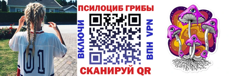 Псилоцибиновые грибы Psilocybe Красный Сулин